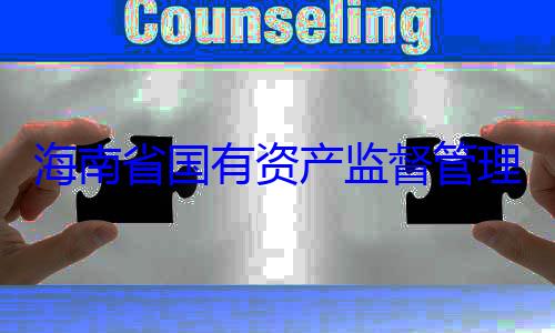 资产监督管委副书记王查调查海南省国有有福接受审理委员会党